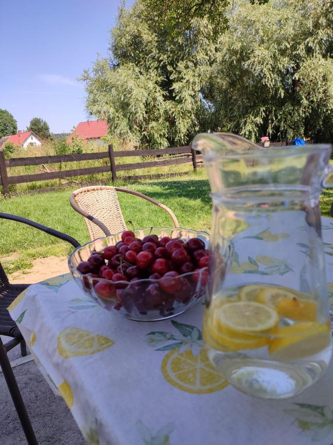 Chata Na Karpackiej Kostrzyca Extérieur photo